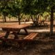 Picnic Table by Gardens